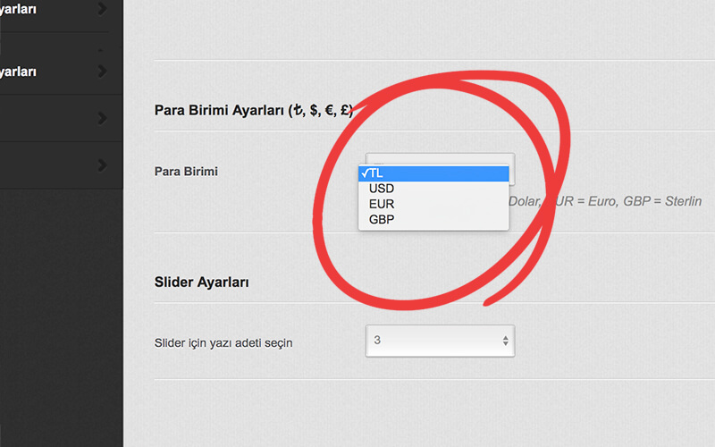 4 Farklı Para Birimi Seçeneği